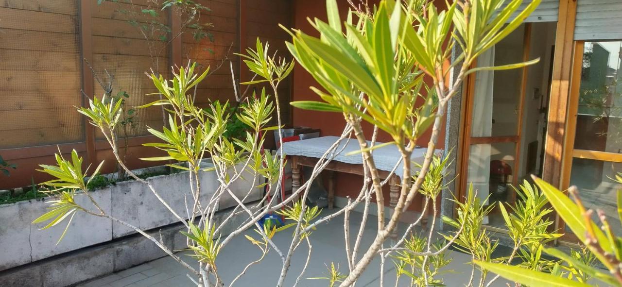 ميلان Meraviglioso Super Attico Con Terrazza المظهر الخارجي الصورة